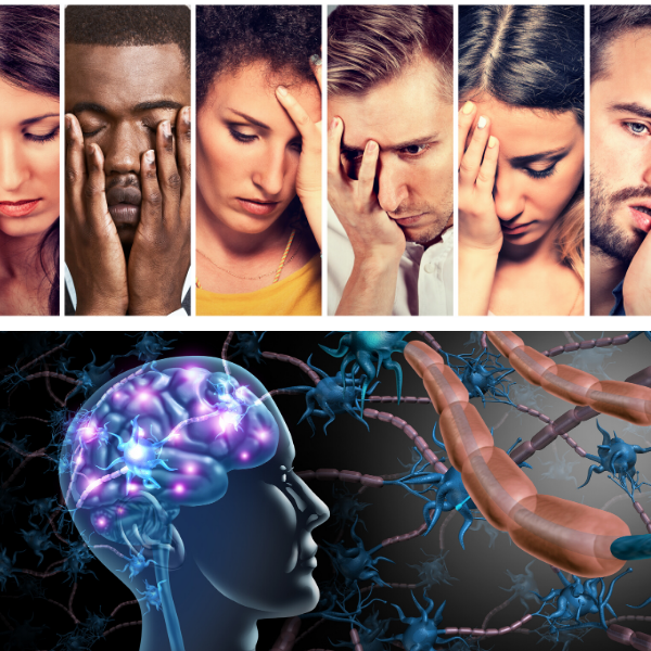 EFT/Tapping Rewires and Reprograms the Brain